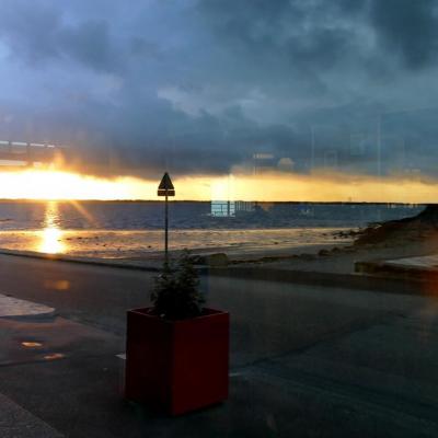 Vitrine