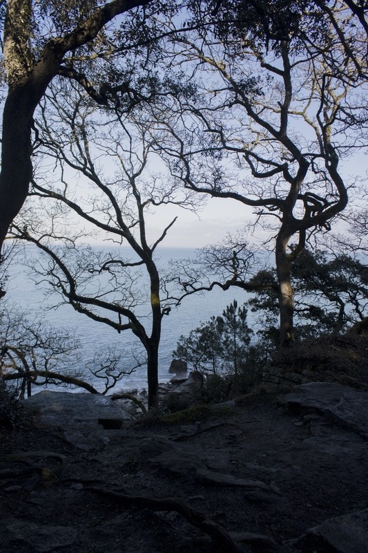 Contre jour