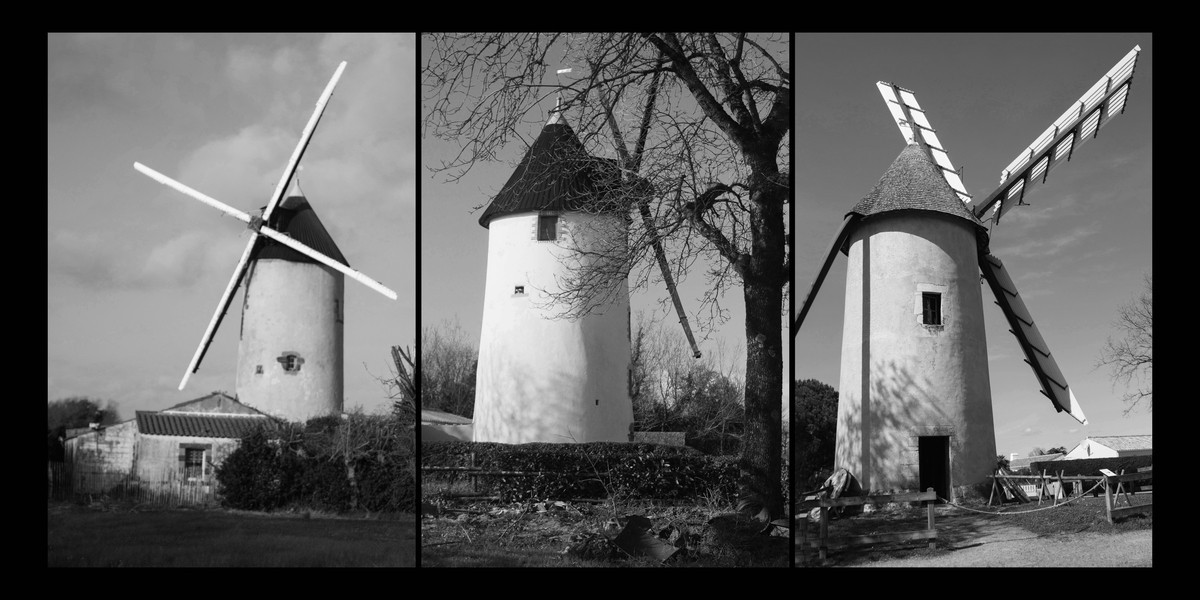 Moulins de mon coeur