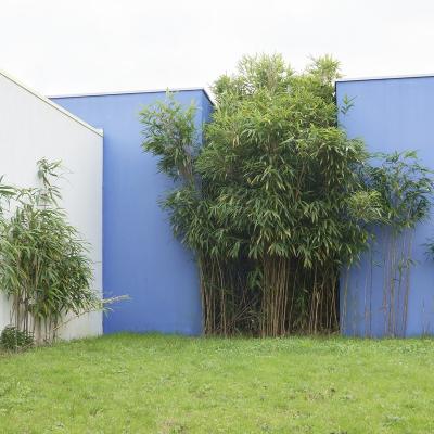 Bleu et vert