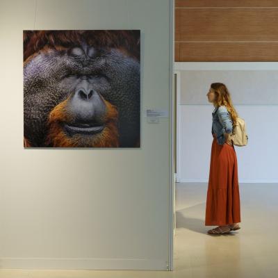 Exposition