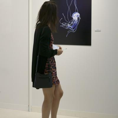 Exposition