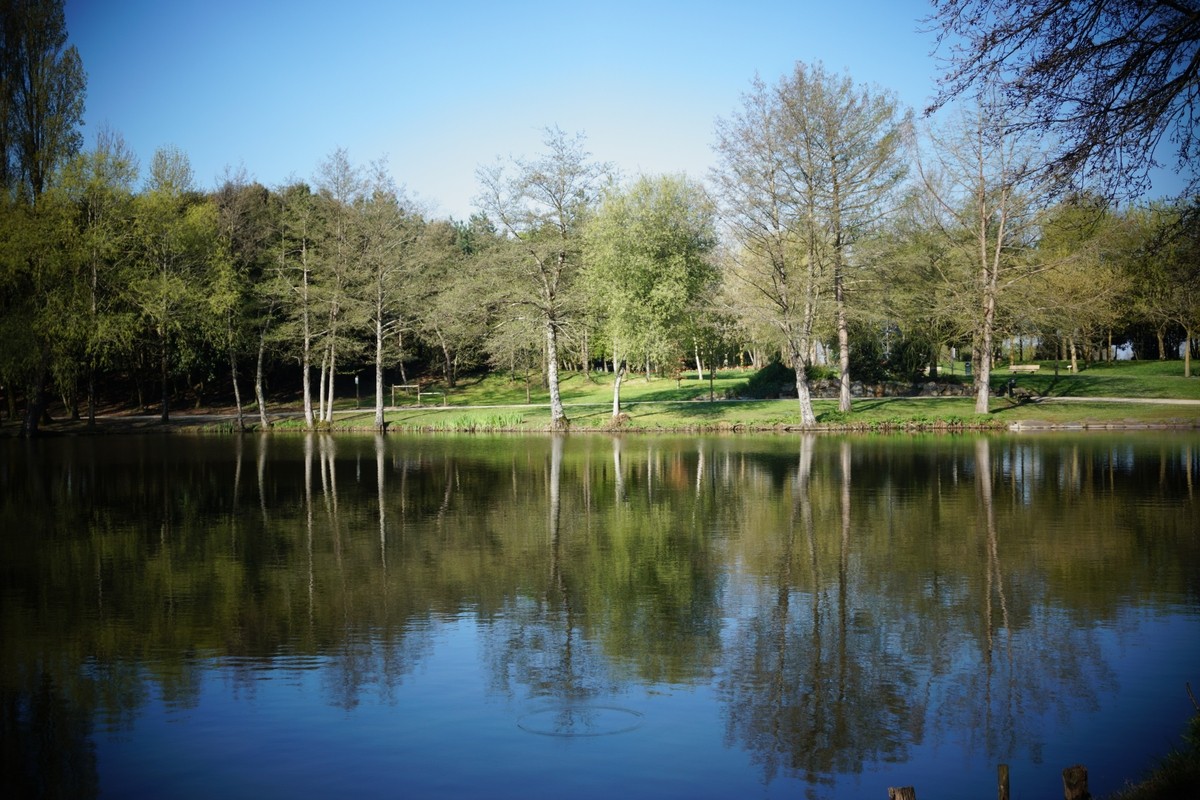 Les reflets