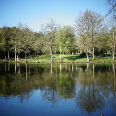 Les reflets