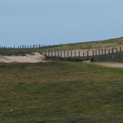 Et derrière l' enfilade la mer