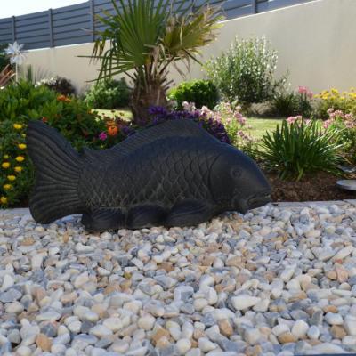Poisson