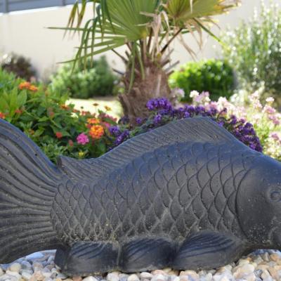 Poisson