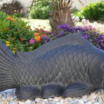 Poisson
