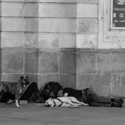 Le  veilleur