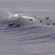 Jean OLLIVRY - Surfeurs