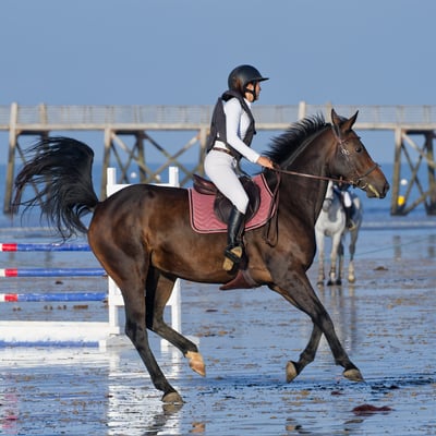 Concours hippique