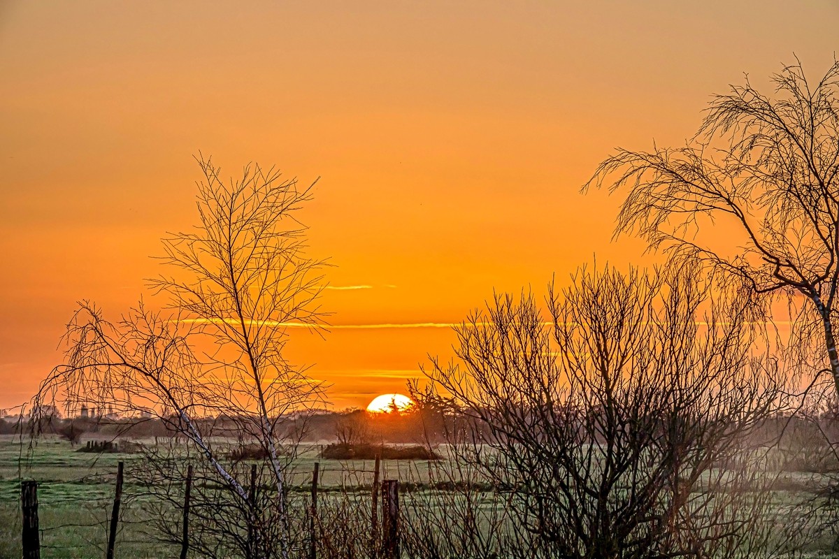 Le soleil pointe à l 'horizon