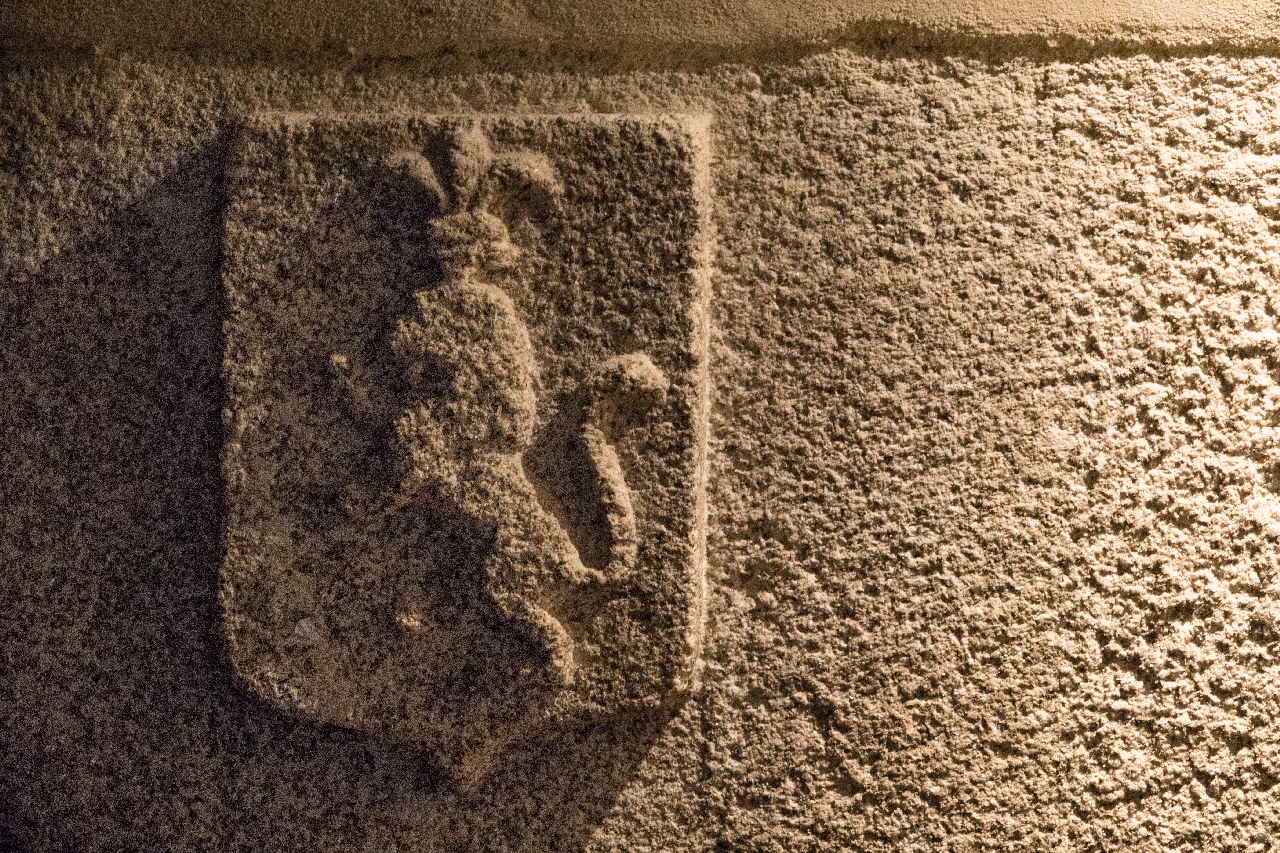 Lion et Lys