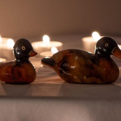 Canards