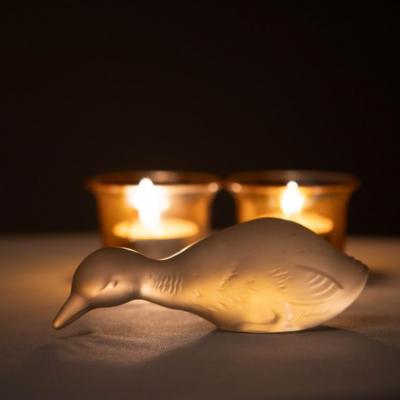 Encore un canard