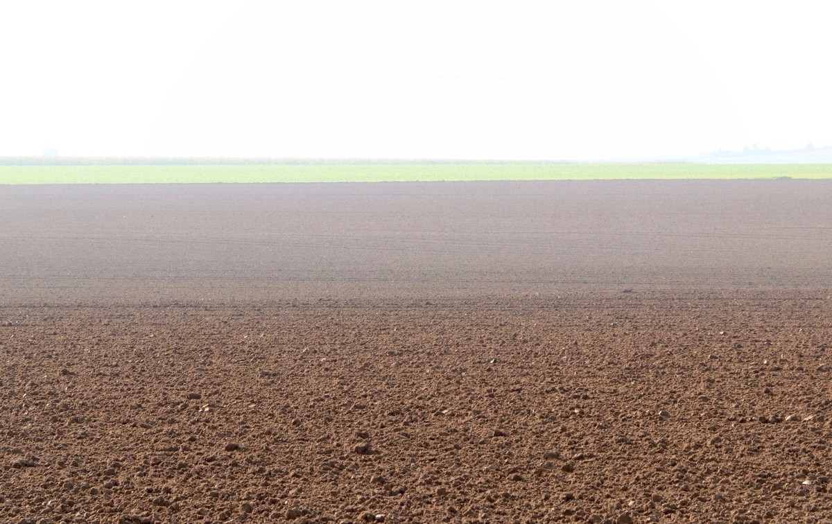 Brume d'automne