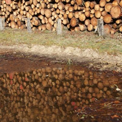 Les reflets