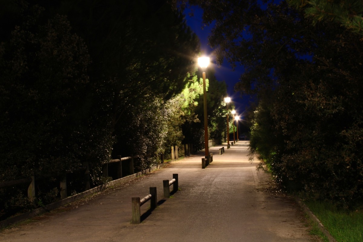 Chemin
