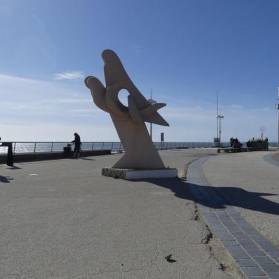 Les 3 oiseaux f 5,6