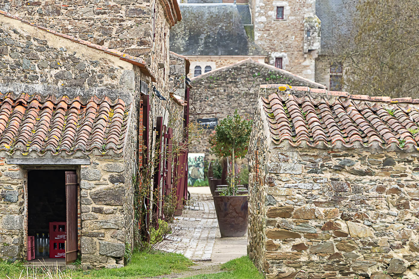 Ruelle