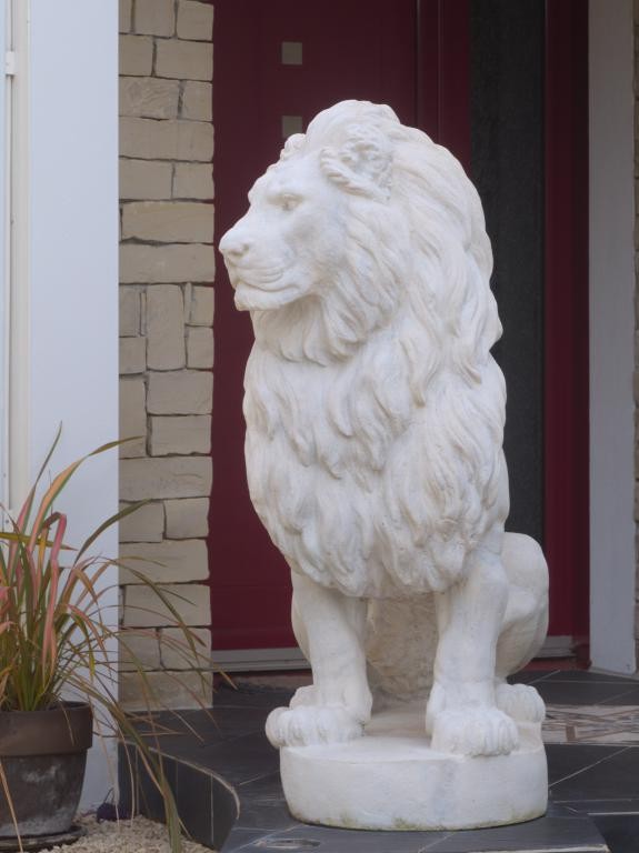 Lion blanc