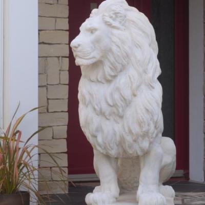 Lion blanc