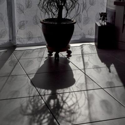 Ombre en contrejour