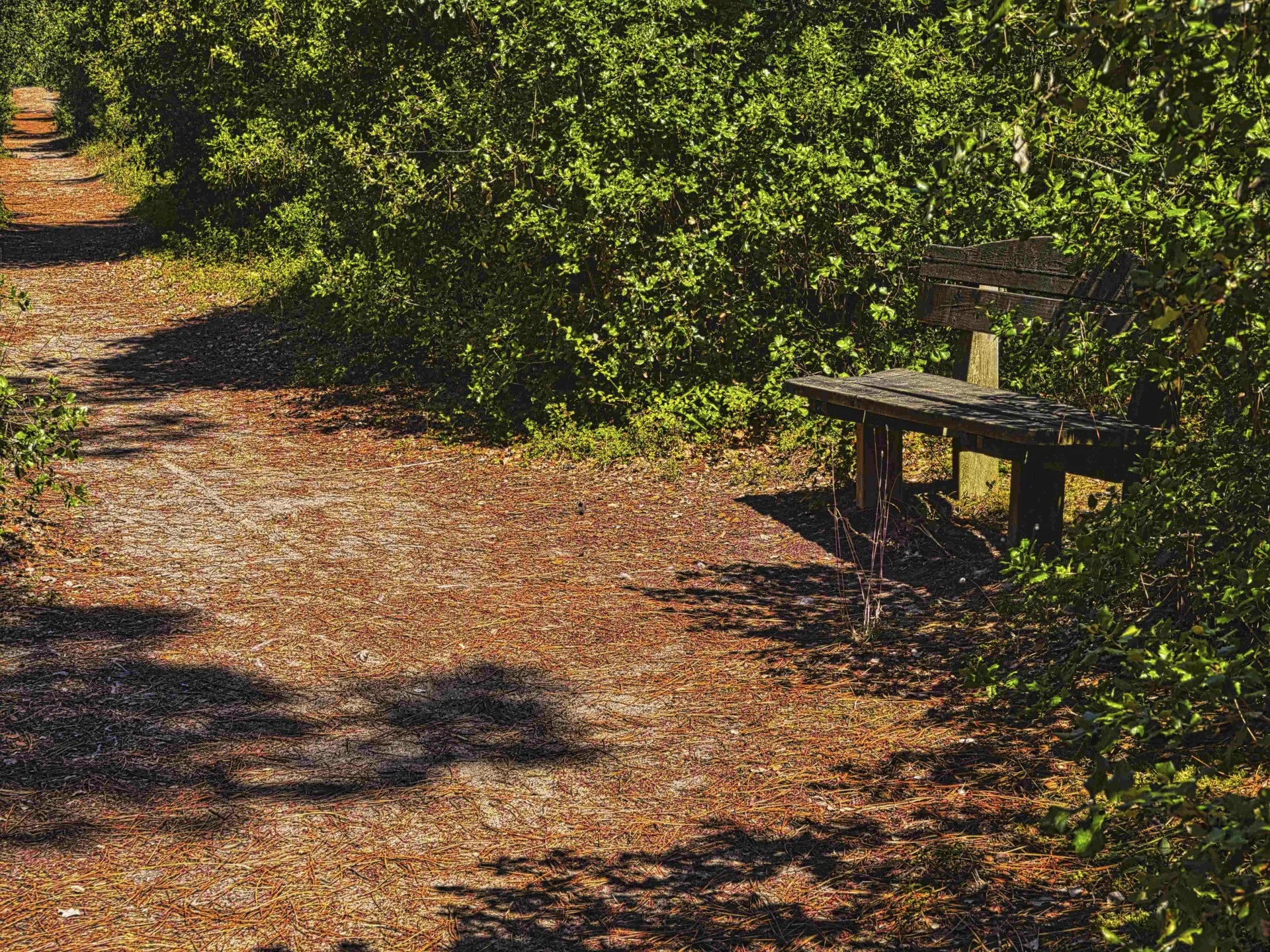 Ouf un banc