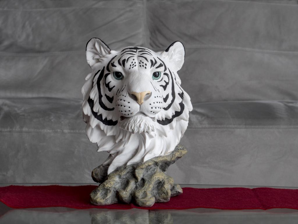 Tigre blanc