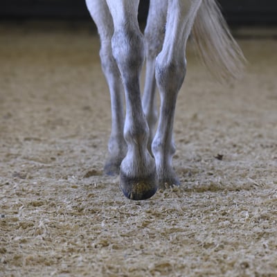 Sable de manège